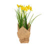 Vickerman Artificial Yellow Daffodil in Burlap Pot, Set of 2 - view 8 of 8
